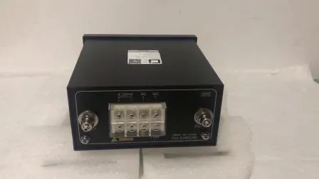 휴대용 산소 순도 분석기 경쟁력 있는 가격 P860